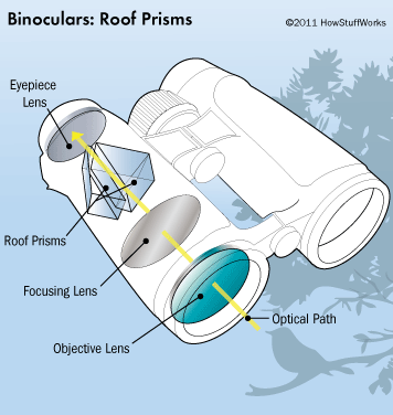 roof_prism_binoculars