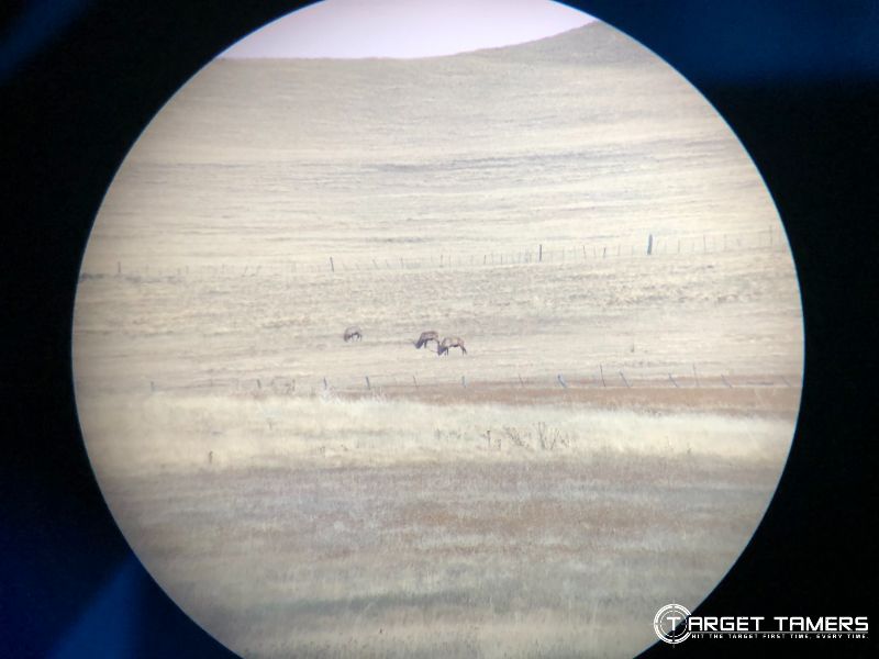 Elk through 27x spotting scope at 1307 yards