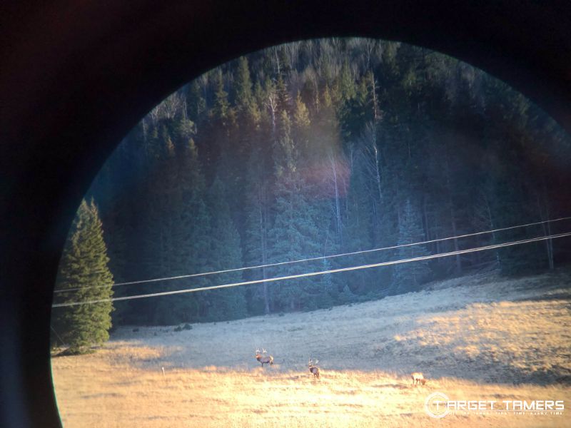 Elk 10x binocular at 542 yards