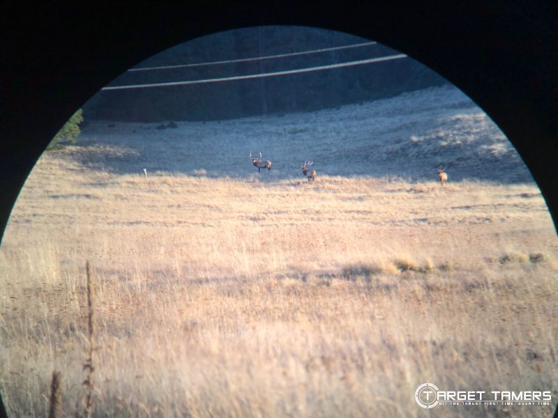 Elk 12x binocular at 542 yards