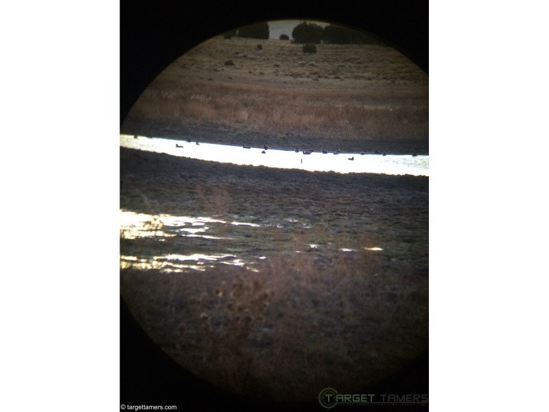 Photo of the same pond through binoculars