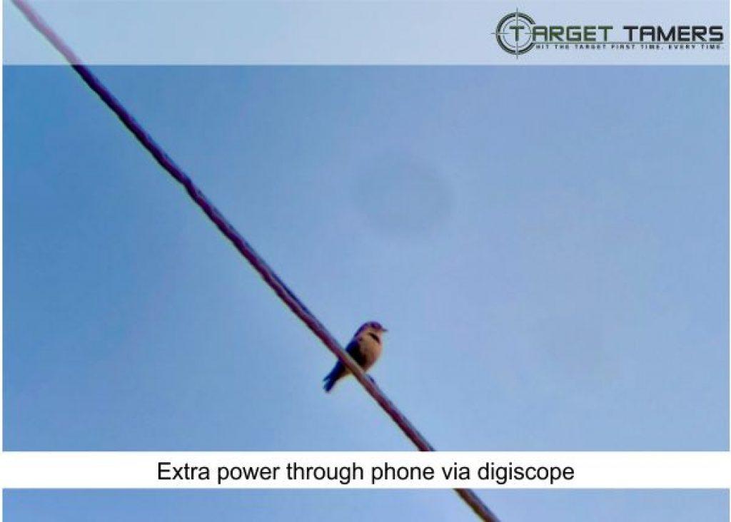 Photo of bird sitting on powerline taken via digiscope adaptor on Carson spotter