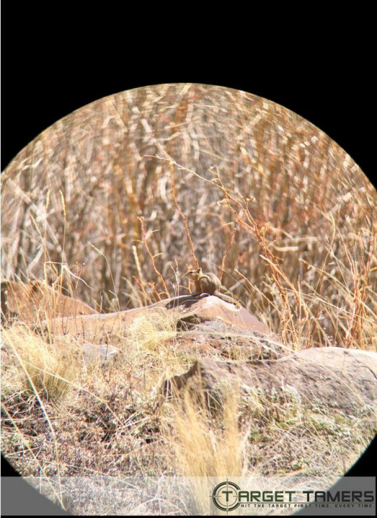 Photo of chipmonk as seen through 10x42 Maven binoculars