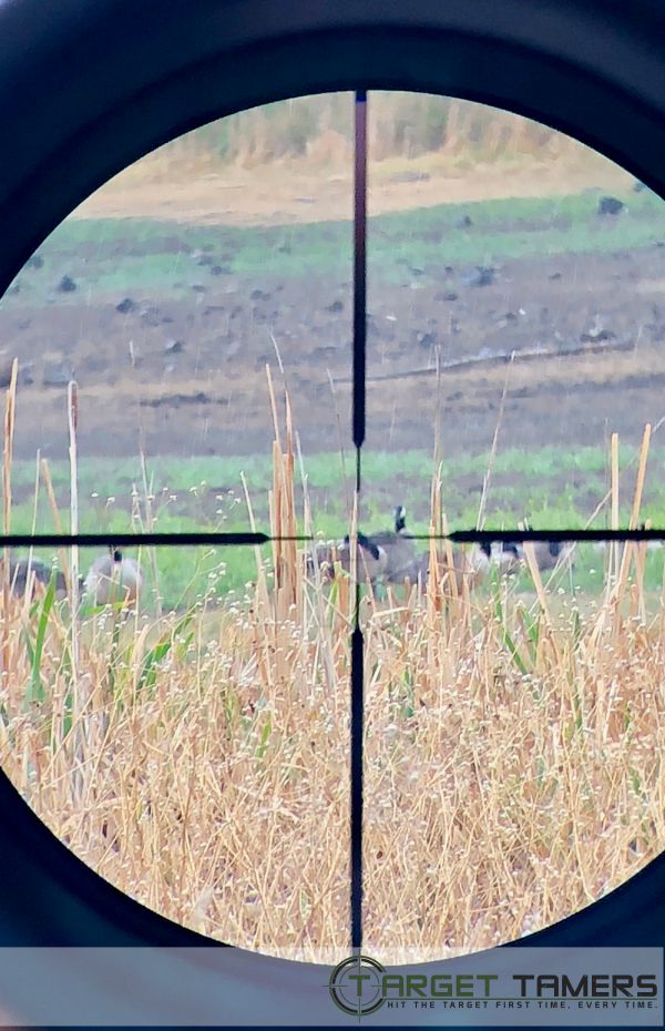 Photo of geese taken through RS.1 rifle scope with SHR reticle