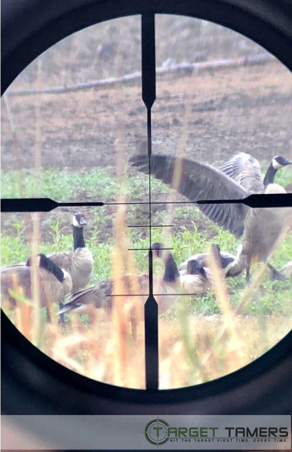Photo of geese showing FFP SHR reticle on Maven rifle scope