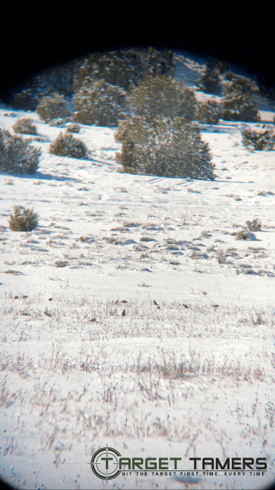Sparrows in a Field as Seen Through Nitro 10x42