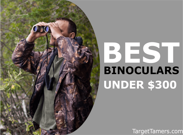 Binoculars Less Than 300
