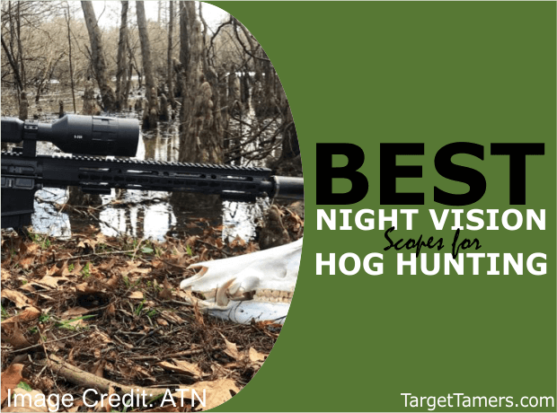 Best Night Vision Scopes for Hog Hunting