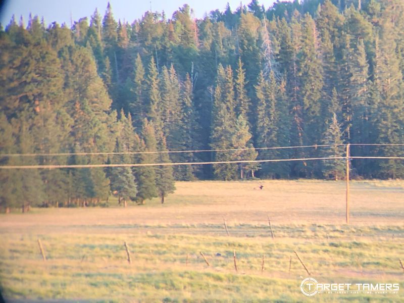 Looking at Elk at 1200 yards through Maven B.6 12x50 binoculars