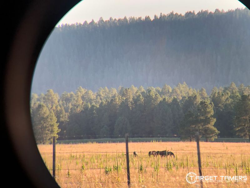Looking at horses at 220 yards through Maven B.6 12x50 binoculars