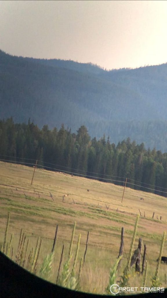 looking at herd of elk in distance using B1.2 10x42 binoculars