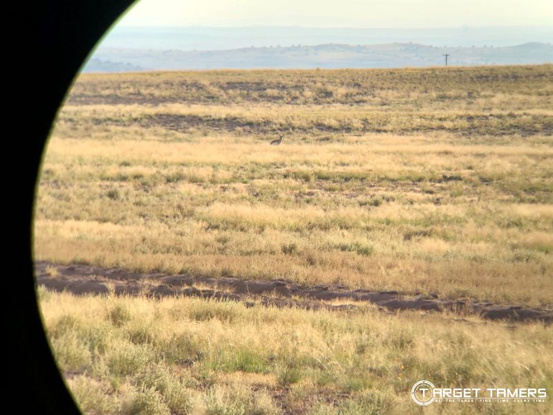 Looking at Antelope 629 yards away through Maven B5 15x56 binoculars