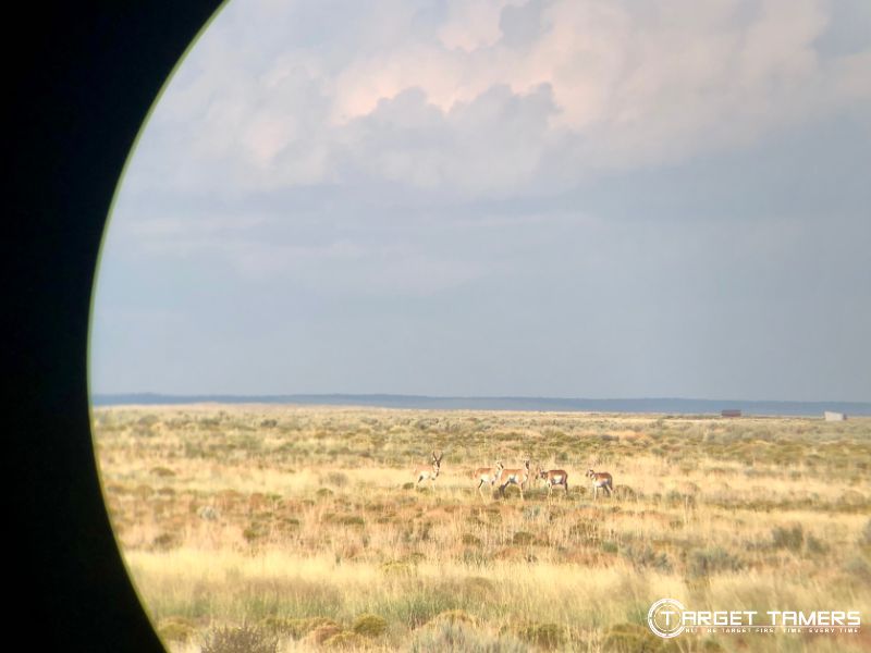 Looking through Maven B5 15x56 binoculars at Antelope at 369 yards