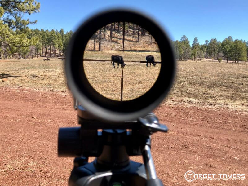 Cows sighted at 75 yds through CRS.2