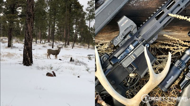 Hunting with a red dot sight