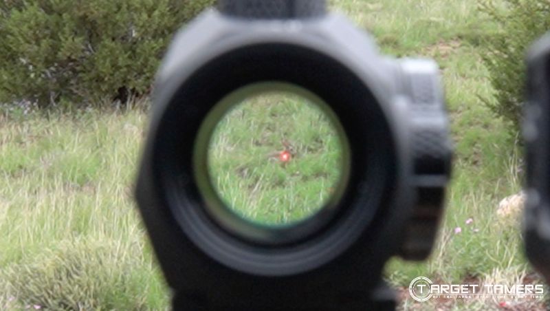 Hunting with a red dot sight