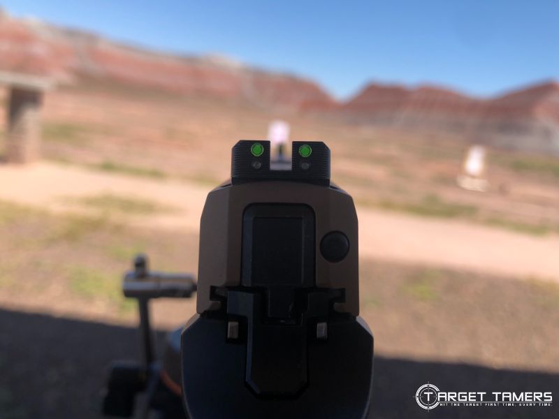 Looking at target through pistol iron sights