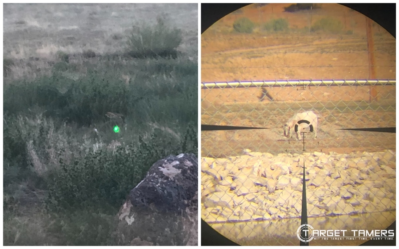 red dot and scope sight picture
