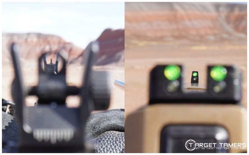 BUIS VS pistol sights