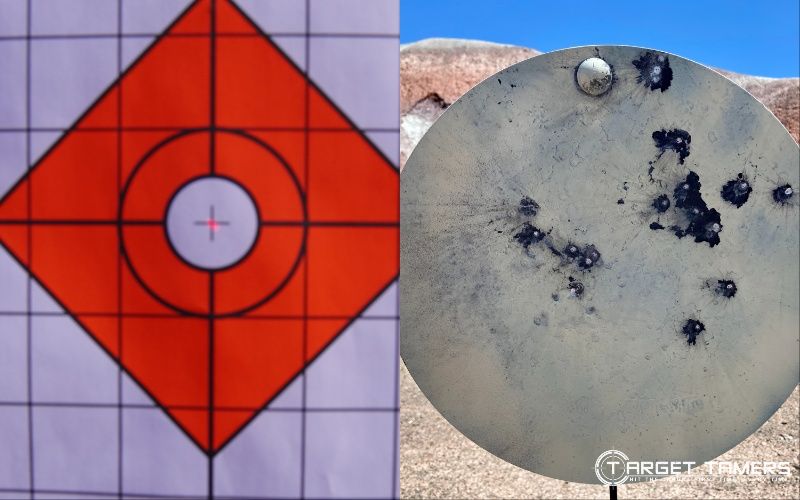 paper and steel targets
