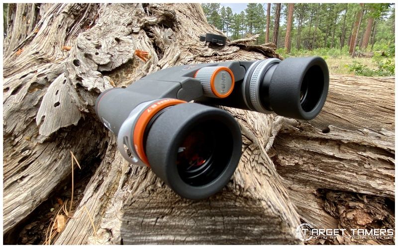 Eyecups on the B7 binoculars